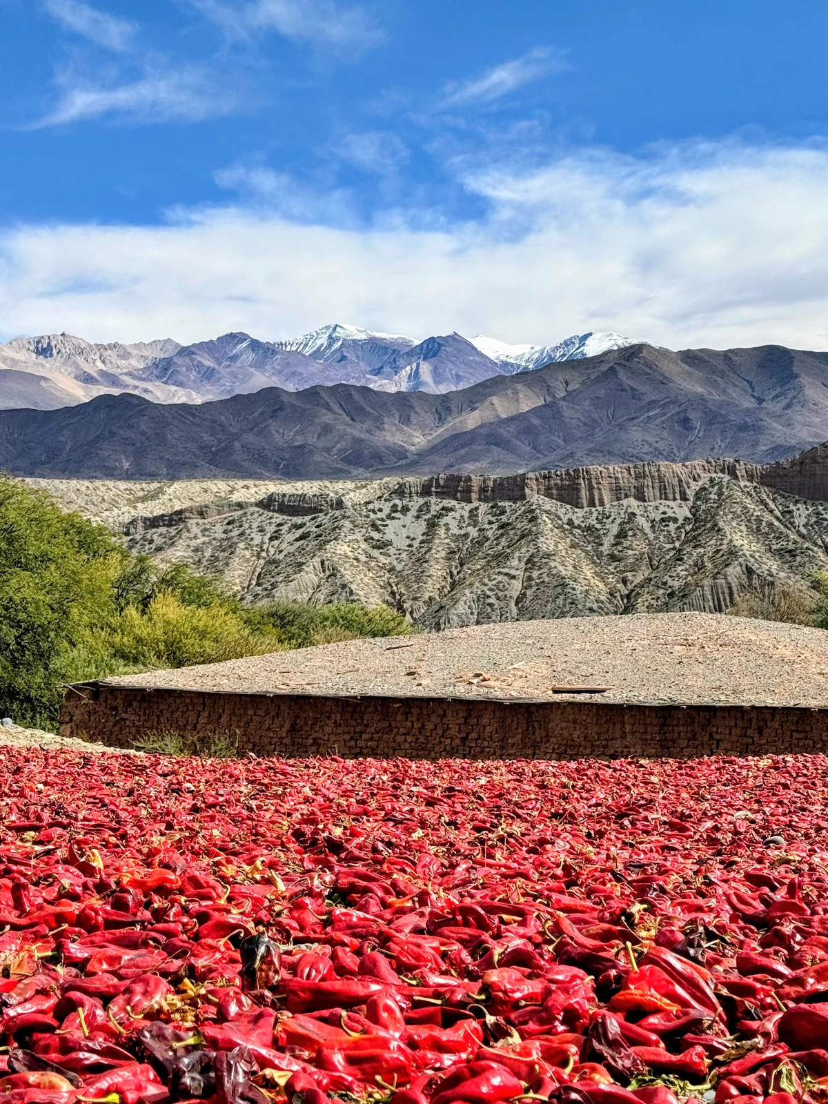 Red peppers drying in the sun near Cachi
